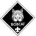 bobcat.gif
