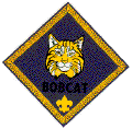 bobcat_color.gif