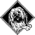 fast_start_dog_clipart_bw.gif