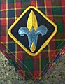 webelos_neckerchief_color.jpg