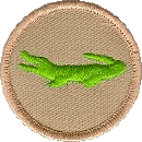 alligator_patch_color.gif