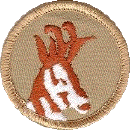 antelope_patch_color.gif