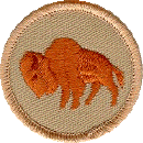 bison_patch_color.gif