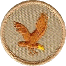 flying_eagle_patch_color.gif