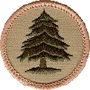 pinetree_patch_color.gif