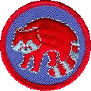 raccoon_patch_color.gif
