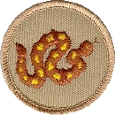 rattlesnake_patch_color.gif