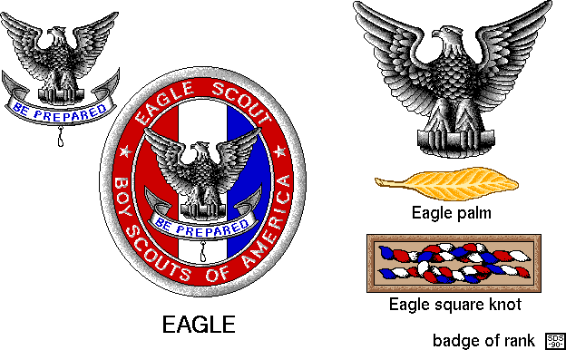 eagle scout medal high resolution