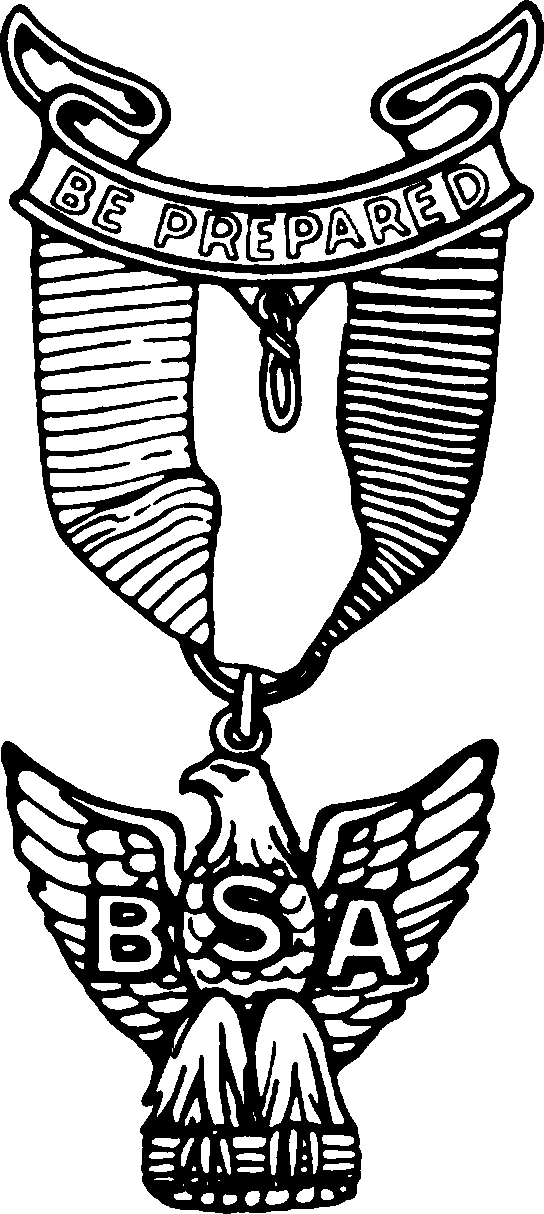 eagle scout logo