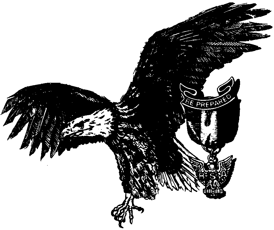 free clip art eagle scout - photo #36