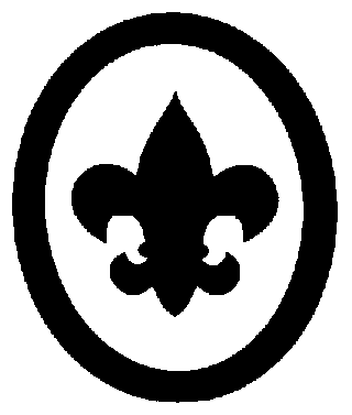 the Boy_Scout_Ranks/Scout
