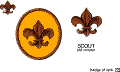scout_badge_old_color.gif