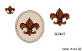 scout_badge_rank_color.gif
