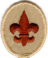 scout_patch_color.gif