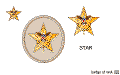 star_badge_rank_color.gif