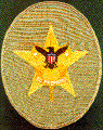 star_patch_color.gif