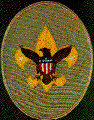 tenderfoot_patch_color.gif