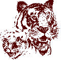 tigers_two_clipart_color.gif