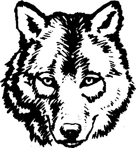 Wolf Coloring Pages on Wolf Head Gif