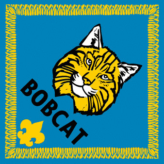 bobcat scout clipart
