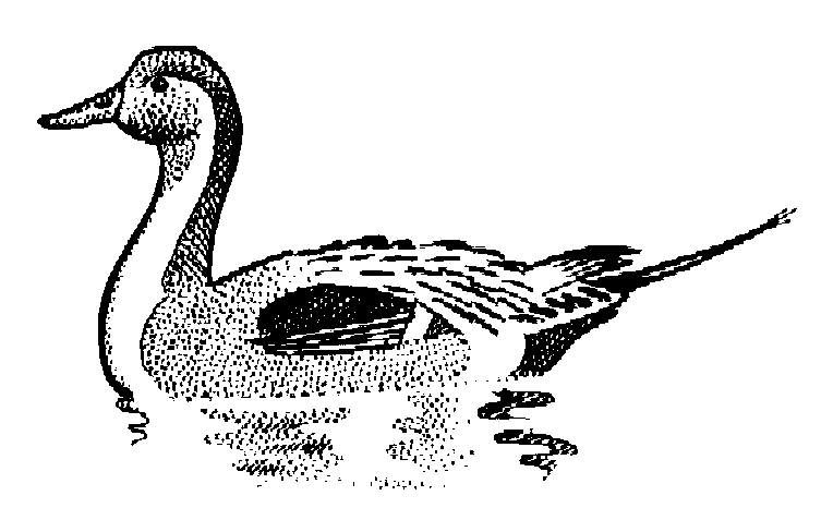 duckling clip art. duck.gif (753x488)