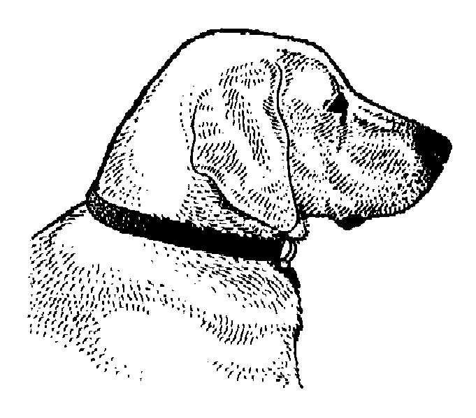 Clip Art Dog House. house free dog and cat clip