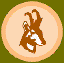 antelope_clipart_color.gif