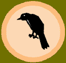 crow_clipart_color.gif