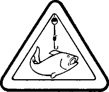 pin_fishing.gif