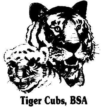 Bsa Tiger