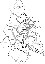 ncac_districts_map.gif