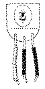 totem.gif