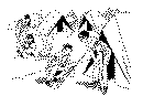 campstup.gif