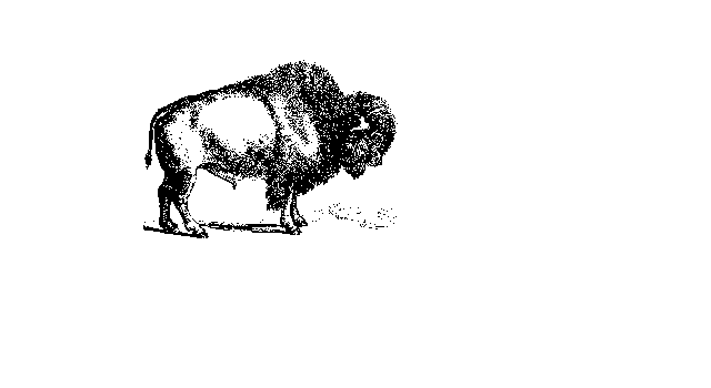 Clip Art Buffalo