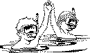 swim2.gif