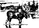 moose.gif