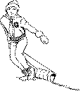 sledding.gif